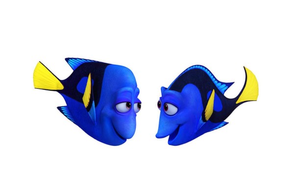 Conoce a los personajes de 'Buscando a Dory”